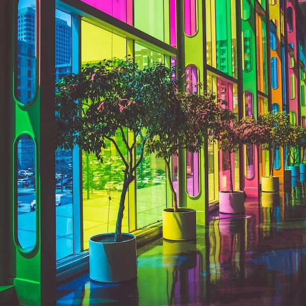 Colorful windows with trees