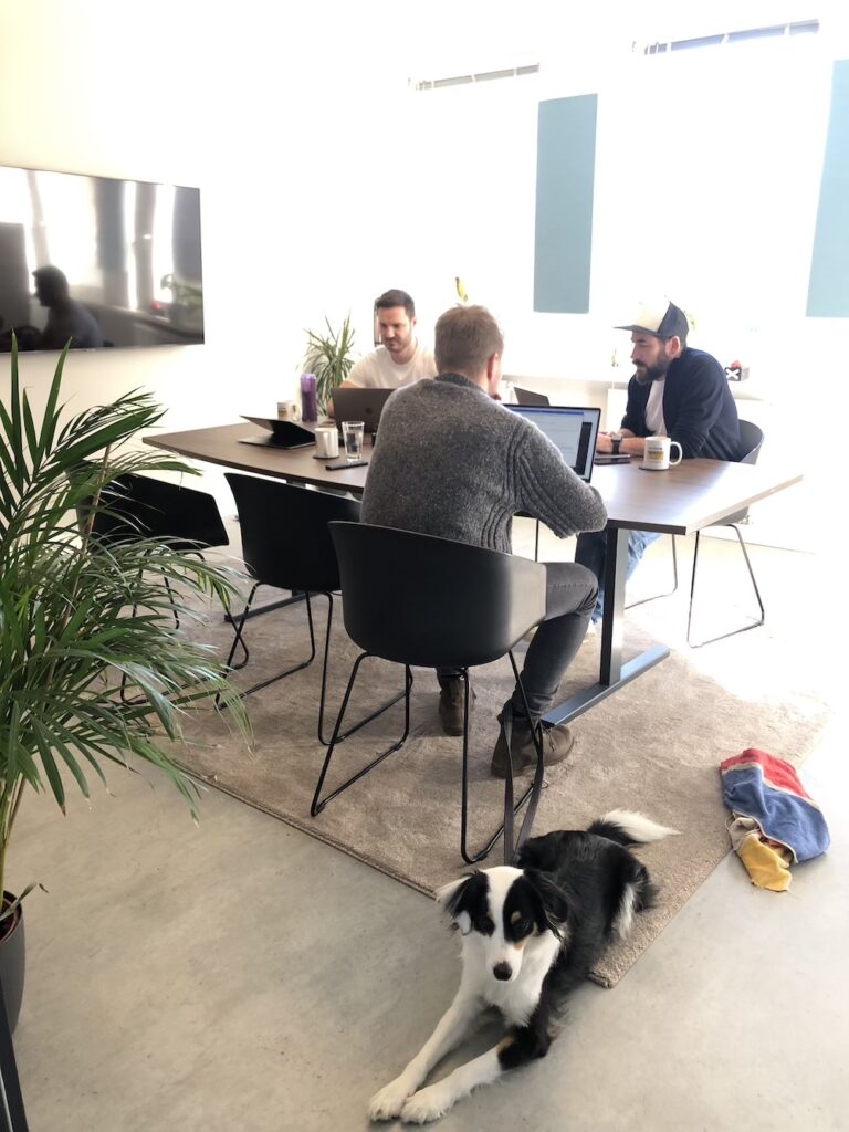 Meeting bei Greyd. Mehrere Mitarbeiter sitzen mit ihren Rechnern am großen Meeting Tisch. Ein Hund liegt auf dem Boden davor mit Spieldecke.