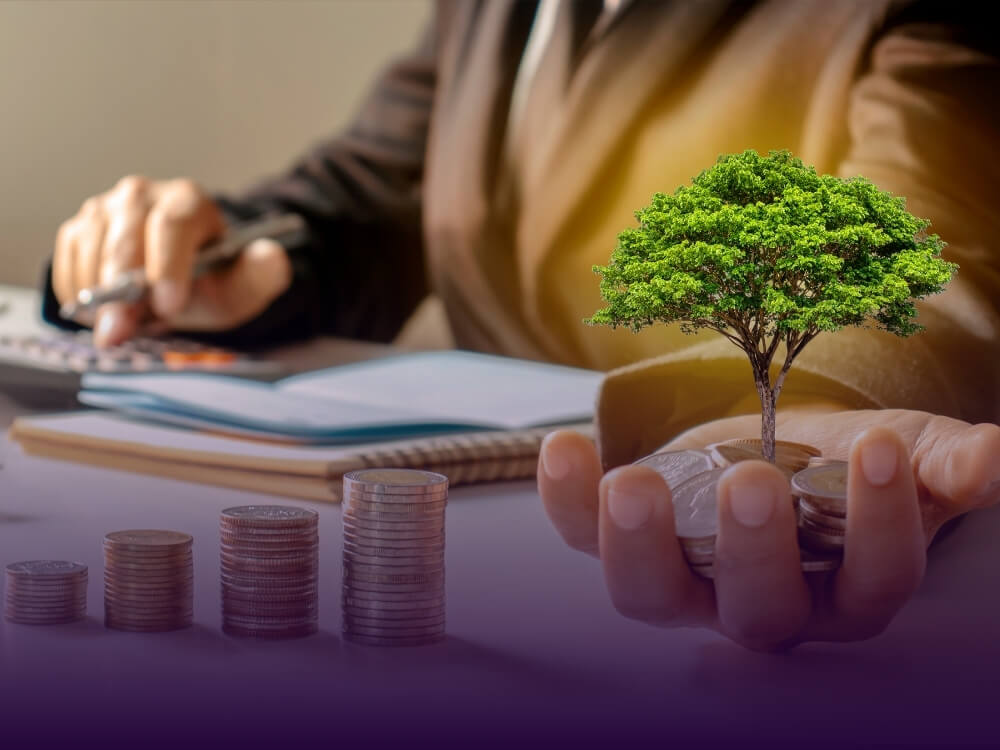 A businessperson calculating finances with a stack of coins in the foreground, progressively increasing in height from left to right, symbolizing growth. In the person’s hand, a small tree grows out of a pile of coins, representing financial growth and sustainability.